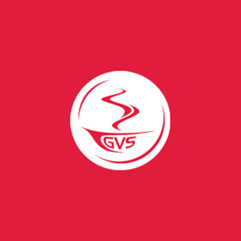 GVS Group